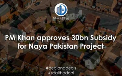 PM Khan approves 30bn Subsidy for Naya Pakistan Project