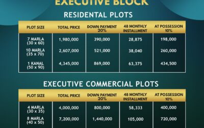 rudn-enclave-payment-plan